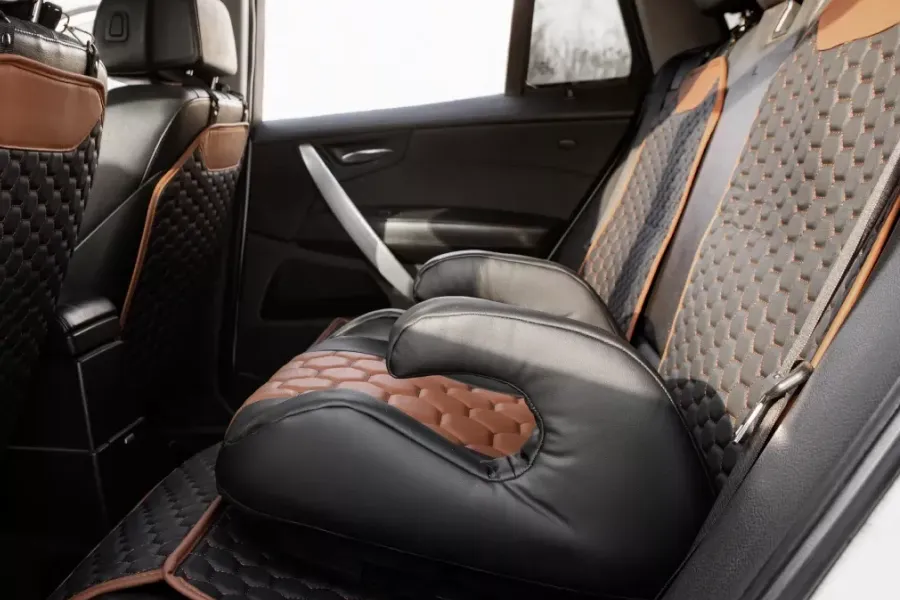 Portable Booster Seat for Kids