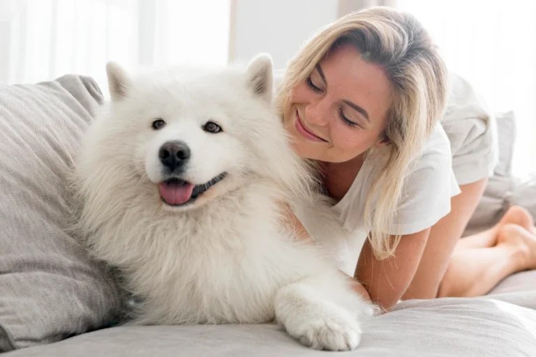 Pet Hair Removal Glove Brush